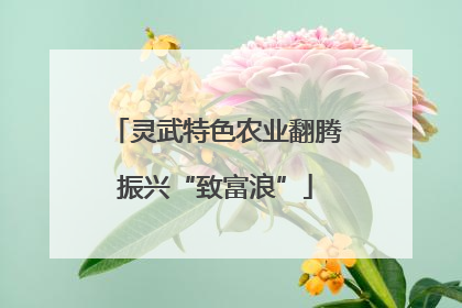 灵武特色农业翻腾振兴“致富浪”