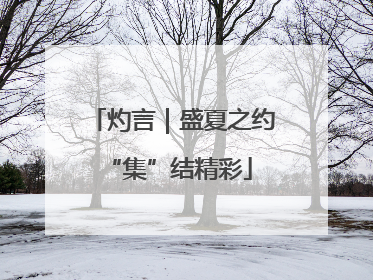 灼言｜盛夏之约 “集”结精彩