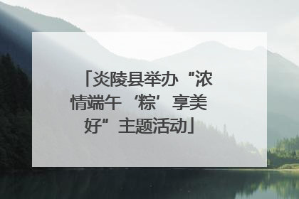 炎陵县举办“浓情端午‘粽’享美好”主题活动