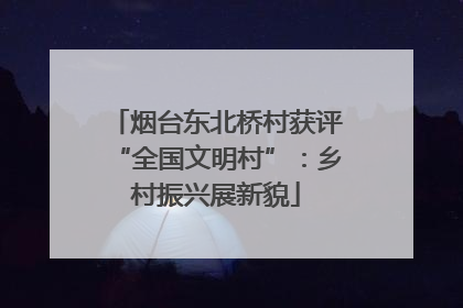 烟台东北桥村获评“全国文明村”：乡村振兴展新貌