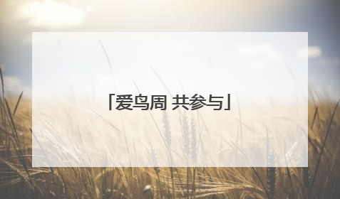 爱鸟周 共参与