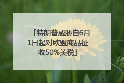 特朗普威胁自6月1日起对欧盟商品征收50%关税