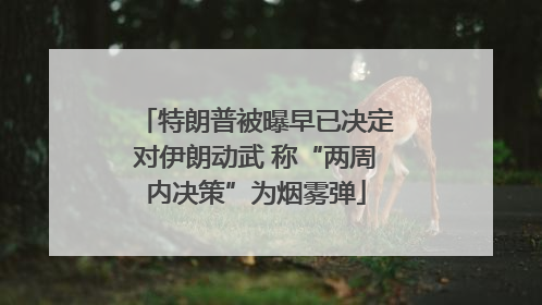 特朗普被曝早已决定对伊朗动武 称“两周内决策”为烟雾弹