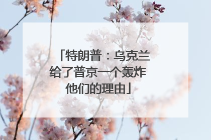 特朗普：乌克兰给了普京一个轰炸他们的理由