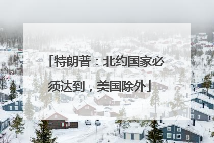 特朗普：北约国家必须达到，美国除外