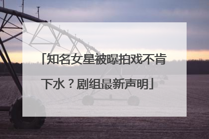 知名女星被曝拍戏不肯下水？剧组最新声明