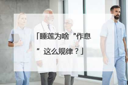 睡莲为啥“作息”这么规律？