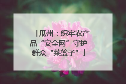 瓜州：织牢农产品“安全网”守护群众“菜篮子”