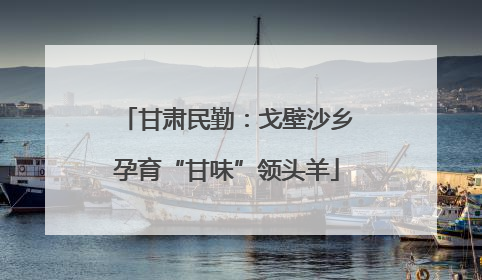 甘肃民勤：戈壁沙乡孕育“甘味”领头羊