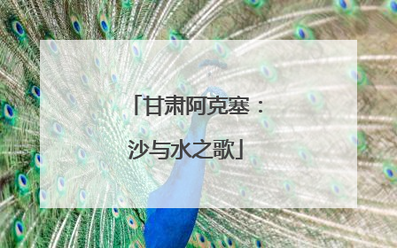 甘肃阿克塞：沙与水之歌