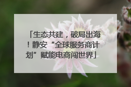 生态共建，破局出海！静安“全球服务商计划”赋能电商闯世界