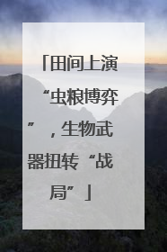 田间上演“虫粮博弈”，生物武器扭转“战局”