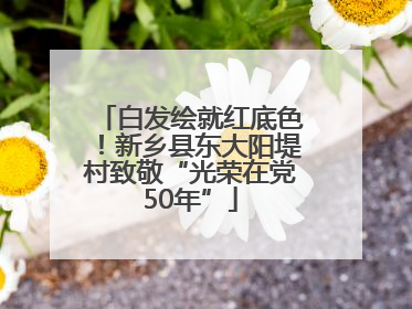 白发绘就红底色！新乡县东大阳堤村致敬“光荣在党50年”