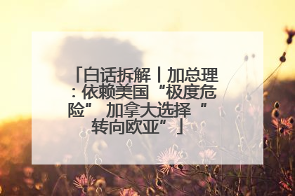 白话拆解丨加总理：依赖美国“极度危险” 加拿大选择“转向欧亚”