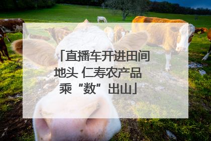 直播车开进田间地头 仁寿农产品乘“数”出山