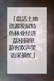 盘活土地资源发展特色林业经济 荔枝园里游客欢声笑语采摘忙
