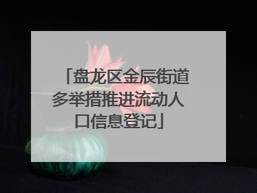 盘龙区金辰街道多举措推进流动人口信息登记
