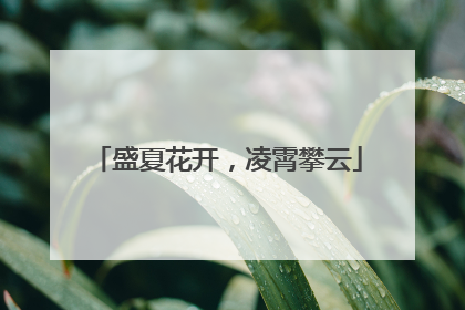 盛夏花开，凌霄攀云