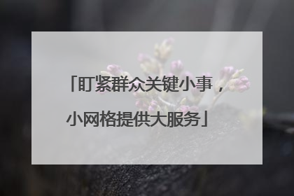 盯紧群众关键小事，小网格提供大服务