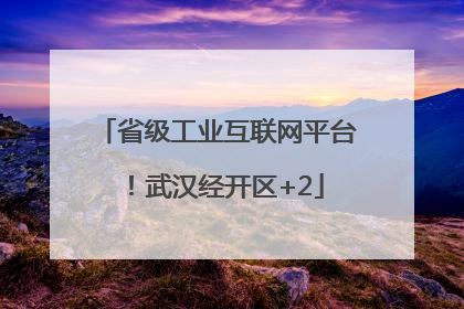 省级工业互联网平台！武汉经开区+2