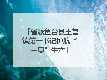 省派鱼台县王鲁镇第一书记护航“三夏”生产