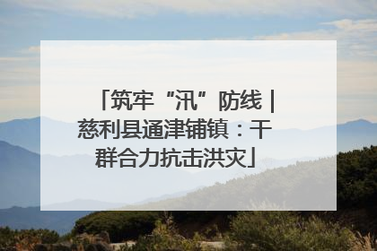 筑牢“汛”防线｜慈利县通津铺镇：干群合力抗击洪灾