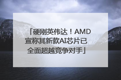 硬刚英伟达！AMD宣称其新款AI芯片已全面超越竞争对手