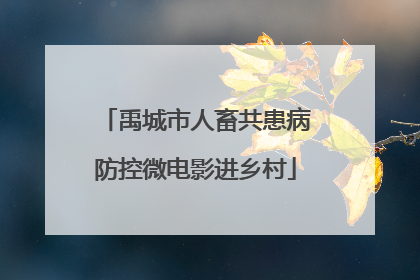 禹城市人畜共患病防控微电影进乡村