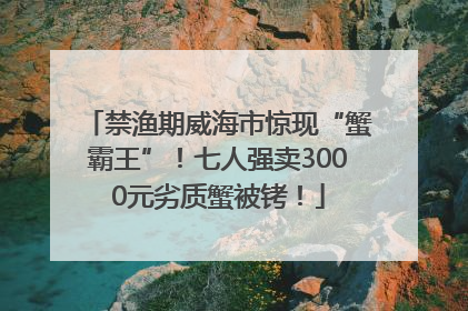 禁渔期威海市惊现“蟹霸王”！七人强卖3000元劣质蟹被铐！