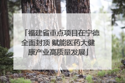 福建省重点项目在宁德全面封顶 赋能医药大健康产业高质量发展