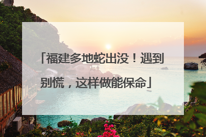 福建多地蛇出没！遇到别慌，这样做能保命