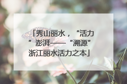 秀山丽水，“活力”澎湃——“溯源”浙江丽水活力之本