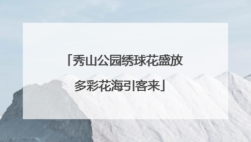 秀山公园绣球花盛放 多彩花海引客来