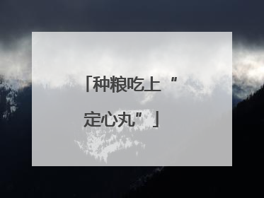 种粮吃上“定心丸”