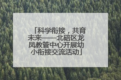 科学衔接，共育未来——北碚区龙凤教管中心开展幼小衔接交流活动