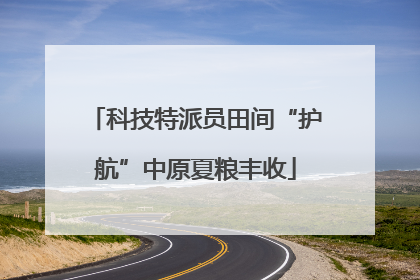 科技特派员田间“护航”中原夏粮丰收