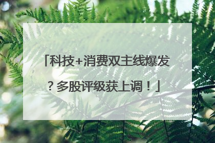 科技+消费双主线爆发？多股评级获上调！