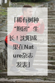 稀有树种“抱团”生长！沈阳成果在Nature杂志发表