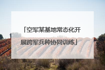 空军某基地常态化开展跨军兵种协同训练