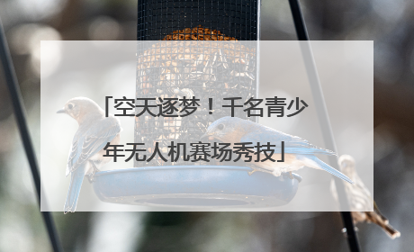 空天逐梦！千名青少年无人机赛场秀技