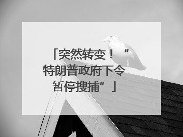 突然转变！“特朗普政府下令暂停搜捕”
