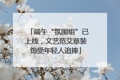 端午“氛围组”已上线，文艺范艾草装饰受年轻人追捧