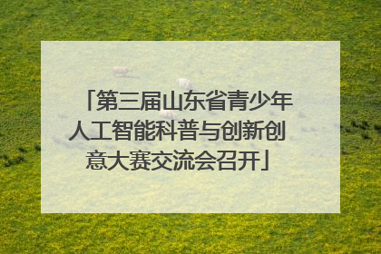 第三届山东省青少年人工智能科普与创新创意大赛交流会召开