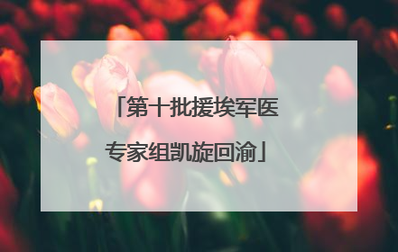 第十批援埃军医专家组凯旋回渝