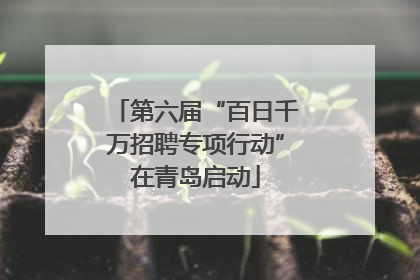 第六届“百日千万招聘专项行动”在青岛启动