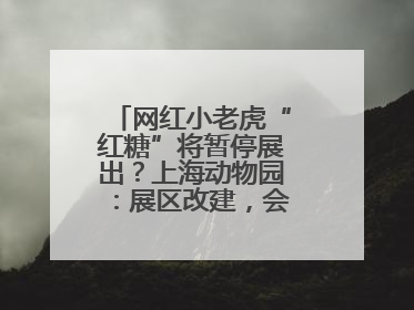 网红小老虎“红糖”将暂停展出？上海动物园：展区改建，会安排展出计划