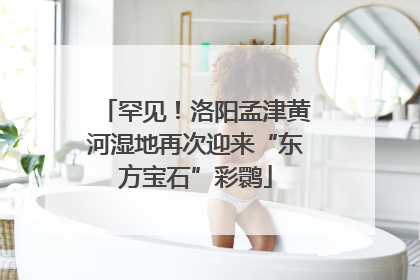 罕见！洛阳孟津黄河湿地再次迎来“东方宝石”彩鹮