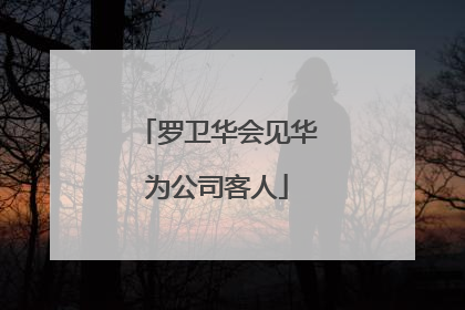 罗卫华会见华为公司客人