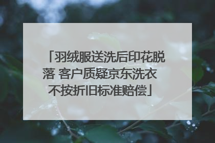 羽绒服送洗后印花脱落 客户质疑京东洗衣不按折旧标准赔偿