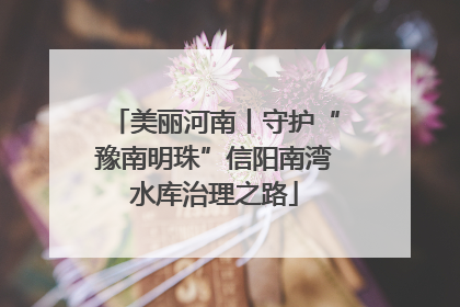 美丽河南丨守护“豫南明珠”信阳南湾水库治理之路